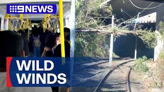 Light rail carriage hit by fallen tree as damaging winds blast Sydney | 9 News Australia