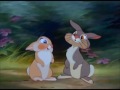 thumper in love