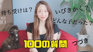 100の質問答えちゃう！の続き