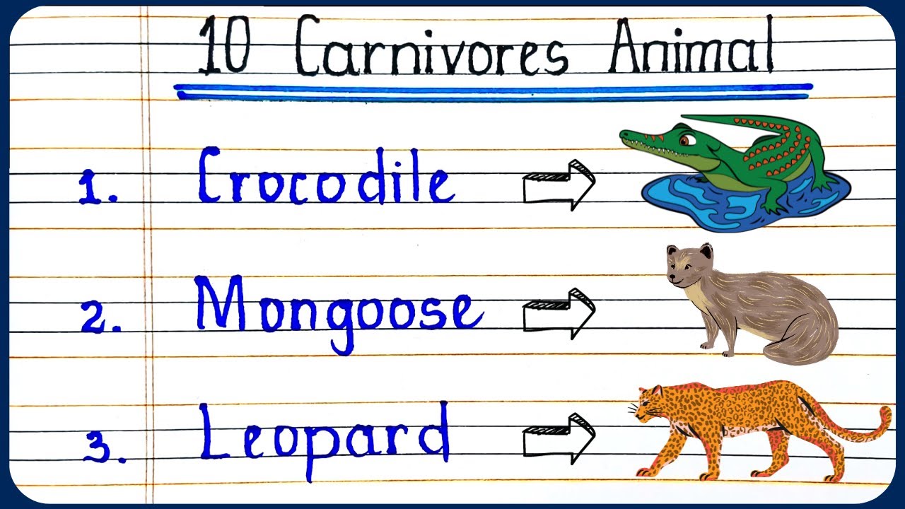 Carnivorous Animals Names Herbivore Carnivore Omnivore Animals
