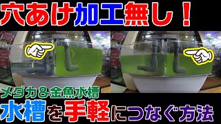 【水槽を手軽につなぐ方法】ミジンコ＆メダカのためのサイフォンの原理とは？