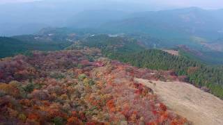 福岡県 英彦山　マイクロドローン撮影　ー【YASU】