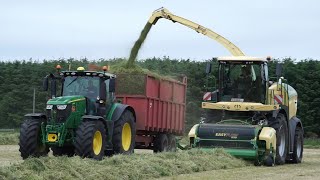 Krone Big X 580 forage harvester demonstration - M \u0026 M Bell - Silage 2021