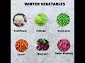 winter vegetables eat seasonally saranutrition shorts