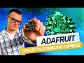 Adafruit Circuit Playground Express: The Ultimate Microcontroller for Beginners