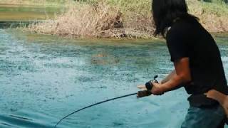 路亞釣魚，精彩的瞬間，黑魚騰空躍起|Lure fishing，Wonderful moment, black fish leaps（Wild Lei）