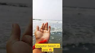 beach in goa