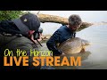 ON THE HORIZON - ***UNDERWATER RELEASE DATE*** #SUBMERGE - Cypography Carp Fishing Live Stream #002