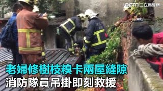 老婦修樹枝糗卡兩屋縫隙 消防隊員吊掛即刻救援｜三立新聞網SETN.com