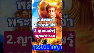 ญาณหยั่งรู้กฏของกรรม | พลังของพระพุทธเจ้าทั้ง 10 ประการ #พระพุทธเจ้า