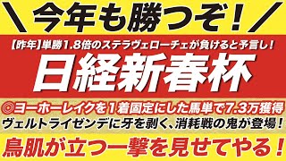 日経新春杯 2023【予想】ヴェルトライゼンデに牙を剥く！消耗戦の鬼が登場！鳥肌が立つ一撃を見せてやる！そのまさかの正体とは？！