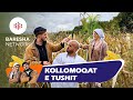 Lili & Zoja - Kollomoqat e Tushit