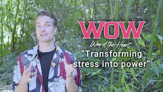 WOW Experiences | Miten | Self-empowerment