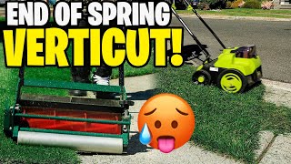 Summer Verticut! Preventing my lawn from going dormant with these products! Mollycoddle time baby! 🔥