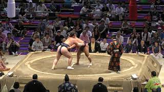 勢、蒼国来　旭秀鵬、千代の海　明瀬山、隆の勝 千秋楽　名古屋場所2019　＃大相撲　＃名古屋場所　＃千秋楽　＃優勝　＃sumo