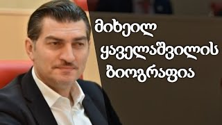 მიხეილ ყაველაშვილის ბიოგრაფია