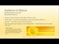 sunflower for aromatherapy and the garden naha webinar by sharon falsetto