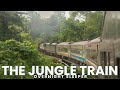 The MALAYSIAN JUNGLE TRAIN - 16 Hours onboard the ICONIC Jungle Train!