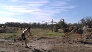 spear throw with both hands