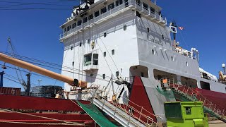 Three bodies recovered after 4 N.L. fishermen go missing