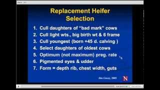 Cost Effective Replacement Heifer Development