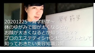 20201225　骨学筋学～歪みが脚太・大顔の原因に？！～