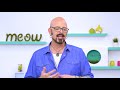 jackson galaxy reveals how to tell your cat