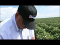 water scarcity on the texas high plains the ogallala aquifer