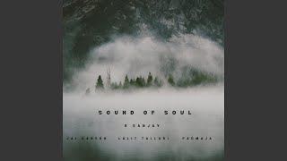 Sound of Soul (feat. Lalit Talluri & Padmaja Sreenivasan)