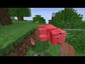 minecraft სახლი ავაშენე როგორც იქნა