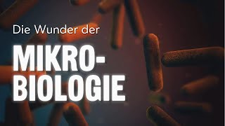 #5facts2win zeigt euch die Wunder der Mikrobiologie #special #wissen2go #wissenschaft #science