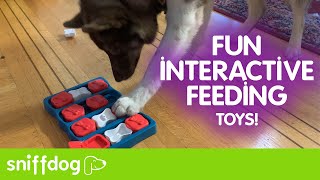 The Best Interactive Feeding Toys Your Dog Needs!