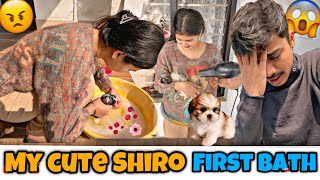 MY CUTE Shiro First Bath At Home🐶❤️