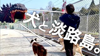 犬と淡路島をぶらり散歩！【犬と散歩＃11】