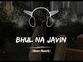 BHUL NA JAVIN (SLOWED & REVERB) NEW SONG 🎧 ALONE LOFI CHANNEL