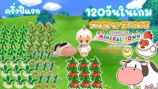 STORY OF SEASONS Friends of Mineral Town : ครึ่งปีแรก ฤดูใบไม้ผลิ และ ฤดูร้อน