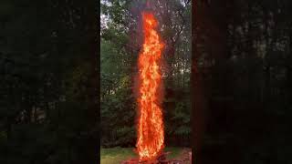 Burning Christmas Tree🔥 BIG FIRE