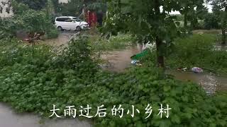 河南省南阳市大雨过后，绿油油的小乡村被一片汪洋大水包围