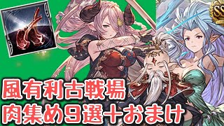 風有利古戦場に向けて時短肉集め編成を9種類＋おまけを紹介します【グラブル】