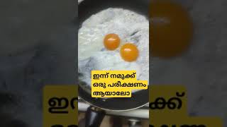 നമ്മുടെ ലാലേട്ടൻ പറഞ്ഞത് കൊണ്ട് ഞങ്ങളും പരീക്ഷണം നടത്തി#lalettan#cookingvideo #cookingcomedy#shorts