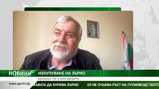 Зърнопроизводителите: Не е сега моментът държавата да купува зърно