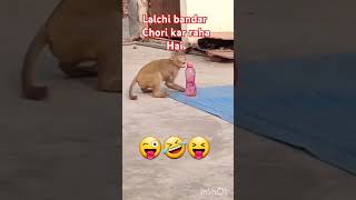 #Chor bandar range haath pakda gaya #funny 😢😜chori karke bhag raha ha