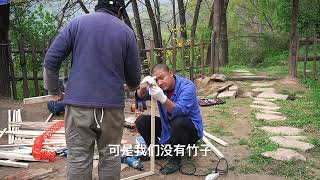 小胡子住终南山第二年，最近沉寂一段时间，有几个清明前后的片段