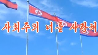 【北朝鮮音楽・DPRK Music】사회주의 너를 사랑해（社会主義、汝を愛す / We Love You Socialism）普天堡電子楽団 / PEE