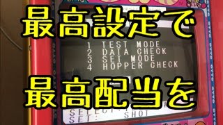 【メダルゲームGCK #1】おとしちゃオットットがぼったくり仕様だった【JAPAN ARCADE】