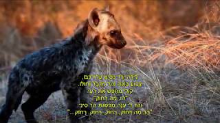 שיר עד - שיר ההד - מילים: יעקב שבתאי | לחן: יוחנן זראי | שירה: רונית אופיר, 1996 -  Ronit Ophir