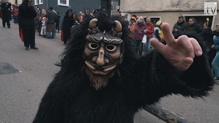 Impressionen vom Faschingsumzug in Talheim