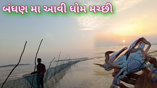 બંધણ મા આવી ધોમ મચ્છી || જિંગા || #jinga #sea #fish #dariyakathanimoj #crab #rey #lobster #બંધણ