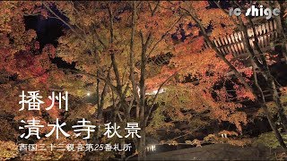 兵庫県 加東市 紅葉 [播州清水寺 秋景] 西国三十三観音第25番札所 SONY RX100M5