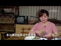 《致富经》 “阚大胆”山林里的大胆博弈 20190822 cctv农业